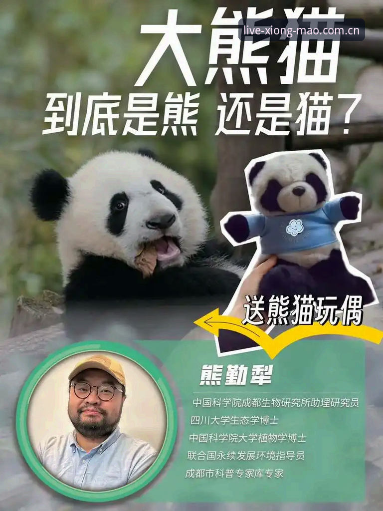揭秘熊猫体育苹果版：一部手机与2025赛季的现场感，你真的会看吗？